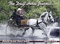Draft Horse Journal