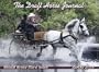 Draft Horse Journal