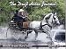 Draft Horse Journal