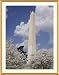 Cherry Blossom Festival at the Washington Monument Photograph - Beautiful approx. 25"x29" Framed & Matted Photographic Print by Carol M. Highsmith