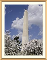 Cherry Blossom Festival at the Washington Monument Photograph - Beautiful approx. 25"x29" Framed & Matted Photographic Print by Carol M. Highsmith