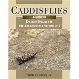 Caddisflies: A Guide to Eastern Species for Anglers and Other Naturalists
