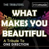What Makes You Beautiful (Tribute to One Direction)