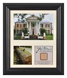 51FL%2BbnTlgL. SL160  Elvis Presley   Graceland   Framed Presentation With Graceland Tree Piece   Limited Edition of 1957 Reviews
