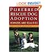 Purebred Rescue Dog Adoption: Rewards and Realities