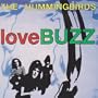 Love Buzz