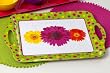 Pop Goes the Daisy Eco Bamboo Tray