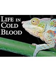 TV Series Episode Video on Demand: Dragons of the Dry