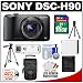 Sony Cyber-Shot DSC-H90 Digital Camera (Black) with 16GB Card + Case + Battery + 2 Tripods + Accessory Kit