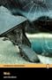 The Web Book/CD Pack (Penguin Longman Readers Level5)