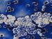 Vancomycin Resistant Enterococci Photographic Poster Print, 16x12