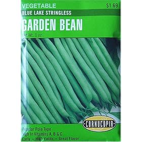 Bean Blue Lake Seeds