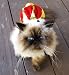 Pet Crown Hat and Wild Side Collar