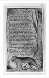 Historic Print (S): Tyger, Tyger