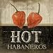 Hot Habaneros FINEST BRAND CANVAS Print With Added Heavy BRUSHSTROKES Jennifer Pugh 12x12