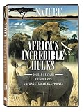 DVD : Nature: Africa's Incredible Hulks
