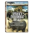 Nature: Africa's Incredible Hulks