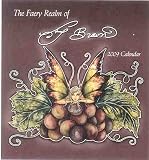 The Faery Realm of Amy Brown 2009 Wall Calendar