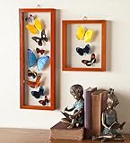 Large Handcrafted Butterfly Collage in Glass Shadow Box