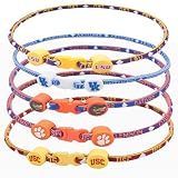 Florida Gators 21 Inch Titanium Sport Necklace NCAA College Team Logo