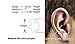 Coodio Pink Earmold Earbud Replacement Earpiece for Two Way Radio Transparent Acoustic Tube - 1 1/16