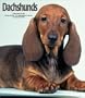 Dachshunds Weekly 2003 Calendar