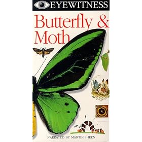 Eyewitness - Butterfly & Moth [VHS]