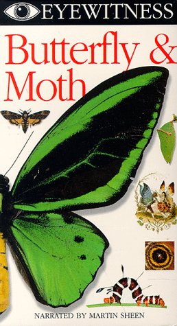 Eyewitness - Butterfly & Moth