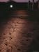 Fossilized Tracks Left by Primates 3.6 Million Years Ago Photographic Poster Print, 1...