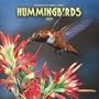 Hummingbirds 2007 Calendar