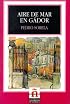 Aire De Mar En Gador/sea Breezes in Gador (Leer En Espanol, Level 4)