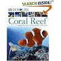 Coral Reef (DK 24 HOURS)