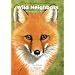 Wild Neighbors: The Humane Approach to Living with Wildlife Second Edition