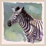 Zebra Portrait - Artist: Stan Kaminski - Art Print Poster Size: 7.00 by 7.00 inches