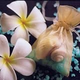 Organza Seashell Favor Bag with Scented Hawaiian Salt (Set of 25)(Bag color=Silver,Color/Scent of salt=Cream/Puakenikeni)