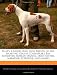 That's a Good Dog: Dog Breeds of the Sporting Group (Chesapeake Bay Retriever, Boykin Spaniel, Irish Setter, Labrador Retriever, and More)