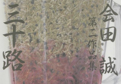 三十路―会田誠第二作品集
