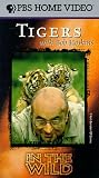 In the Wild: Tigers With Bob Hoskins [VHS]