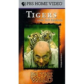 In the Wild: Tigers With Bob Hoskins [VHS]