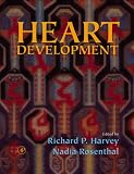 Heart Development
