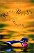 Rare Birds