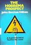 The Hobbema Prospect