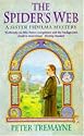 The Spider's Web (A Sister Fidelma Mystery: A Celtic Mystery)