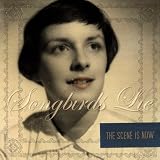 Music : Songbirds Lie
