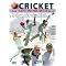 Play Better Cricket