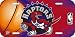 NBA Toronto Raptors License Plate