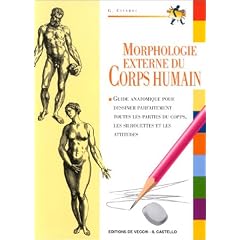 La morphologie externe du corps humain