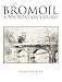 Bromoil: A Foundation Course