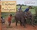 An An Elephant in the Backyard