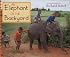 An An Elephant in the Backyard